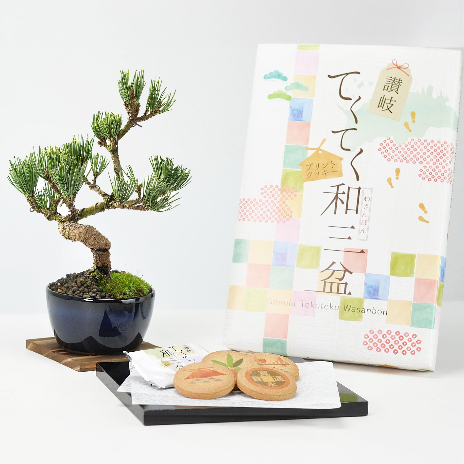 Amazon.co.jp: 盆栽妙 ミニ五葉松 和三盆クッキー お菓子セット 説明書